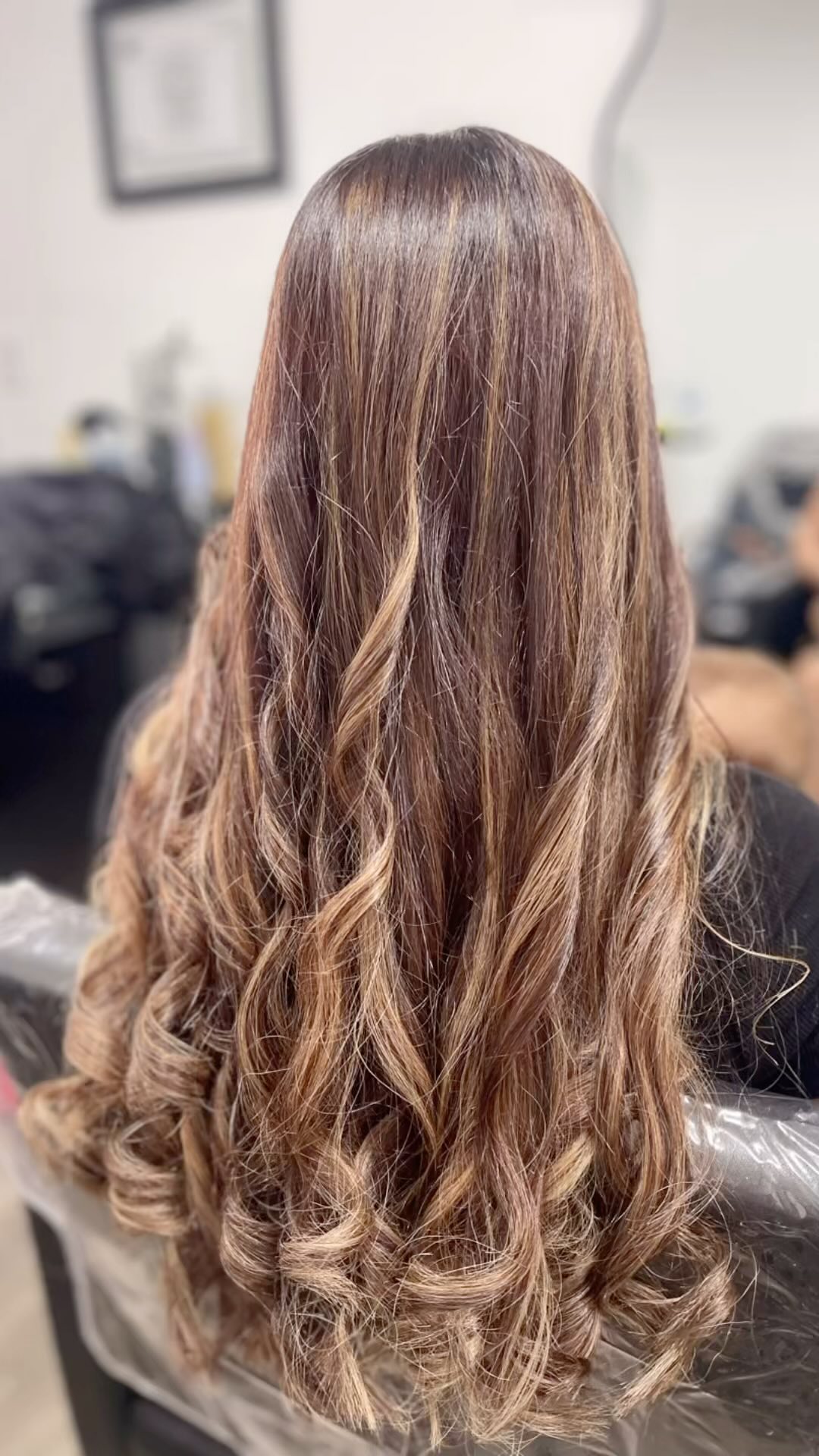 Balayage Specialist Florida (3)